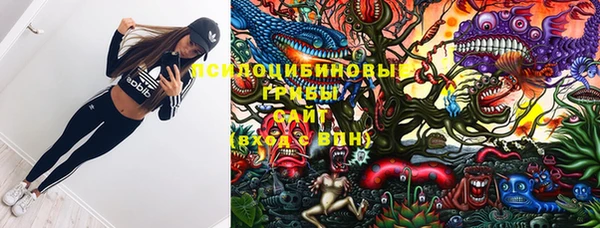 экстази Бородино