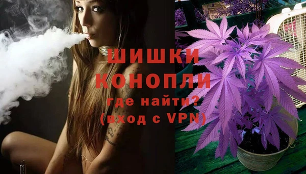 экстази Бородино