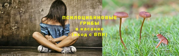 экстази Бородино