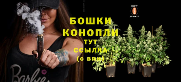 спиды Новодвинск