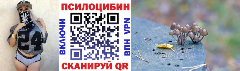 Галлюциногенные грибы GOLDEN TEACHER  купить закладку  Чита 
