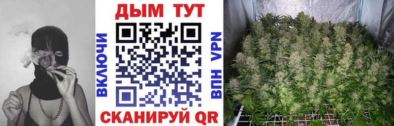 Каннабис ГИДРОПОН  купить наркоту  Чита 